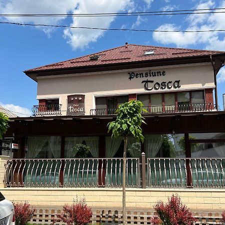 Pensiune Turistica Tosca Bacau Bagian luar foto